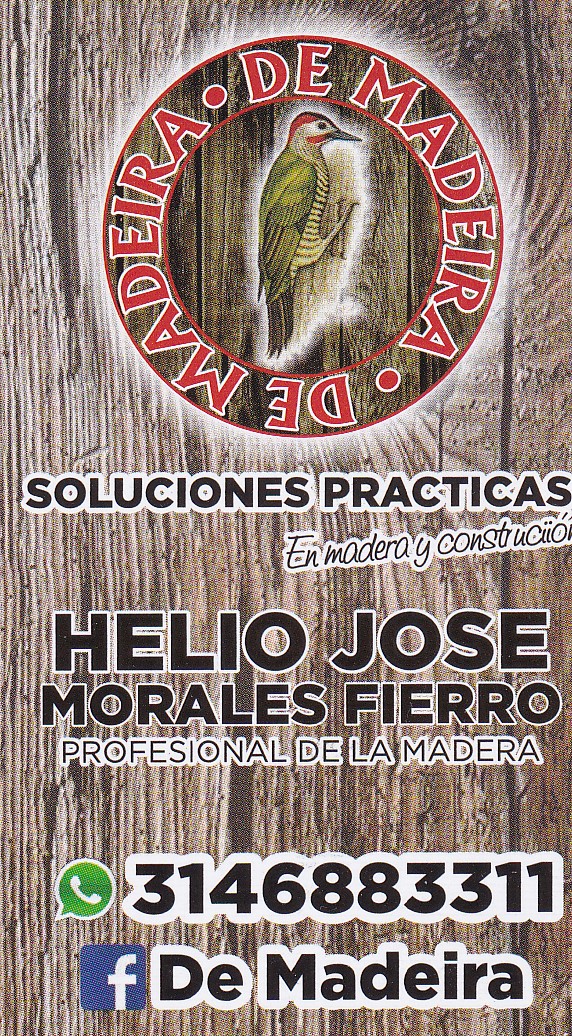 Profesional De La Madera