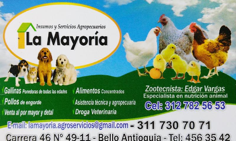 Veterinaria