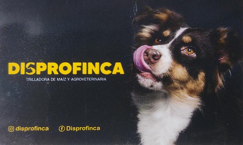 Veterinaria