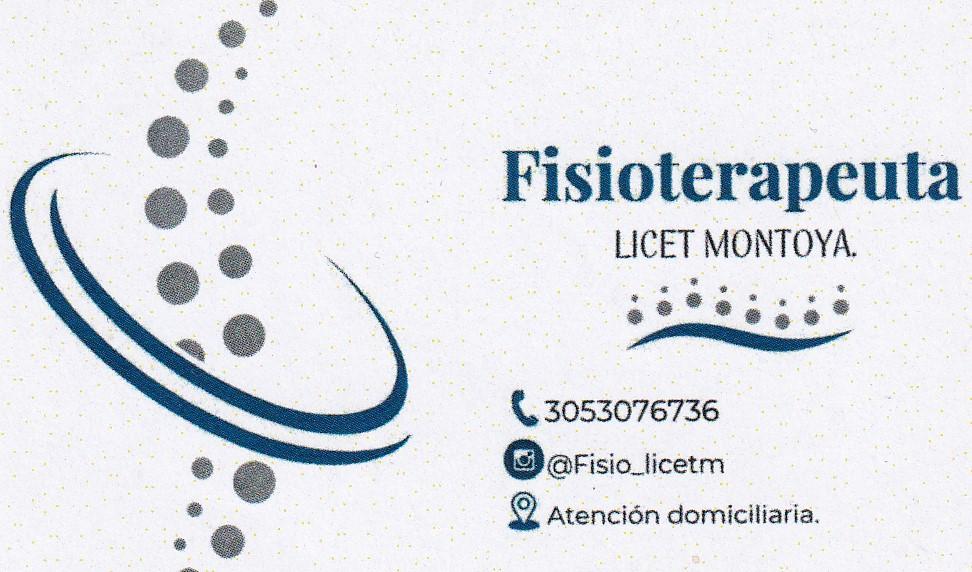 Fisioterapeuta