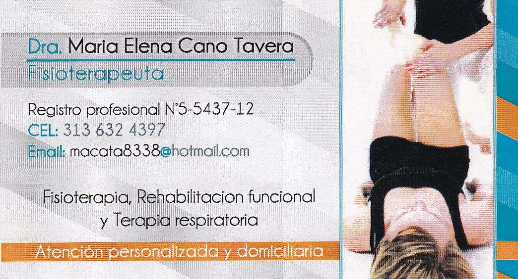 Fisioterapeuta